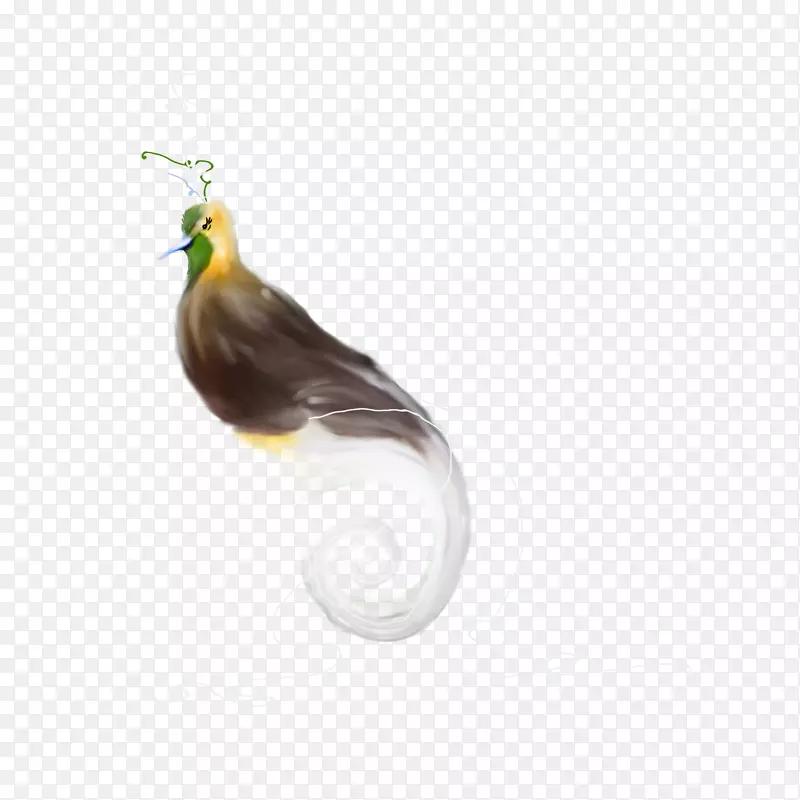 鸟冠雀下载-苹果水彩