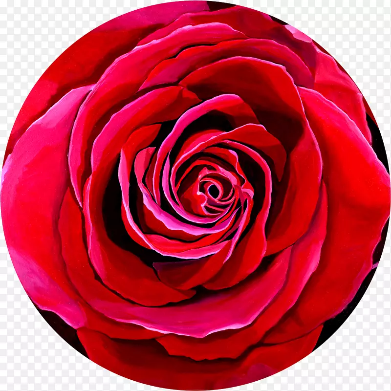 当代艺术作品现代艺术绘画-红玫瑰