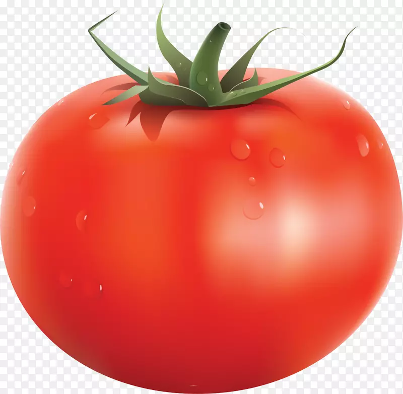 樱桃番茄汤夹艺术-蔬菜
