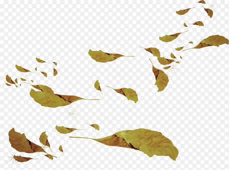 叶枝植物茎夹艺术-秋季