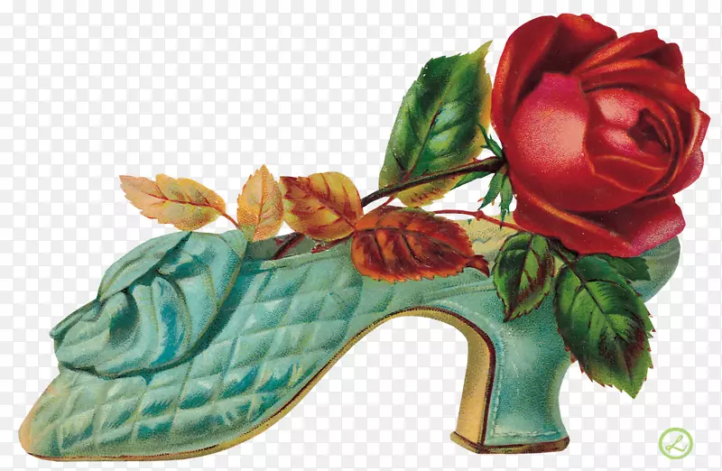 花卉花园玫瑰鞋类花卉设计