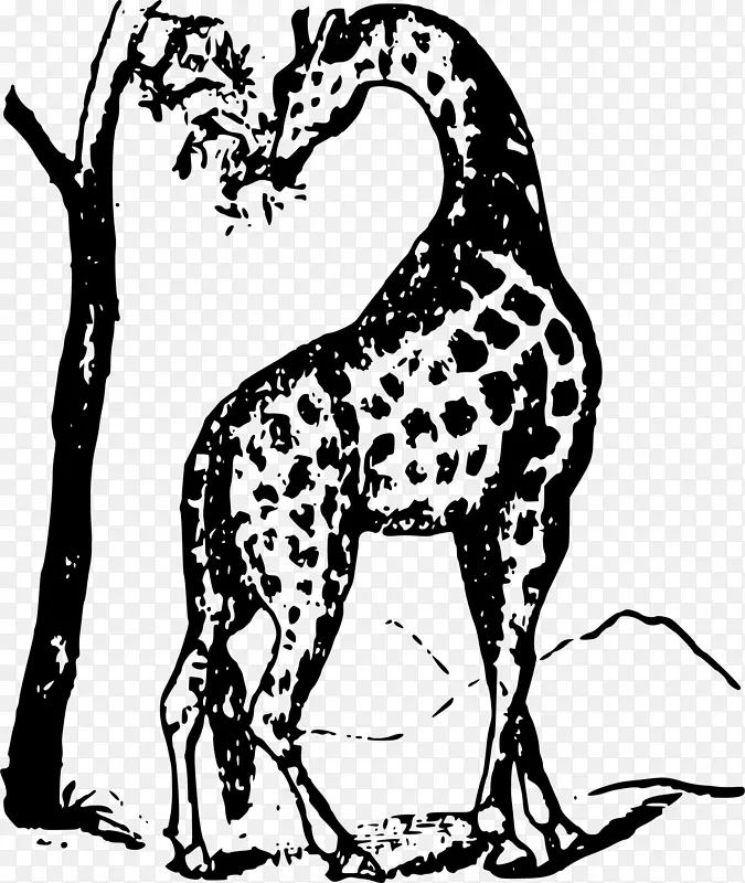 长颈鹿挣扎和胜利：或者，四十年的回忆。t。Barnum剪贴画-长颈鹿