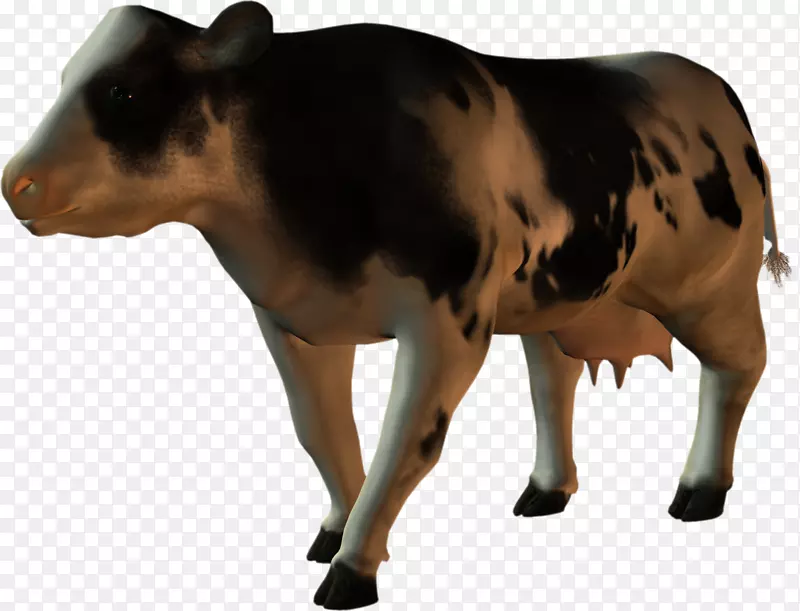 牛犊牛角剪贴画-动物