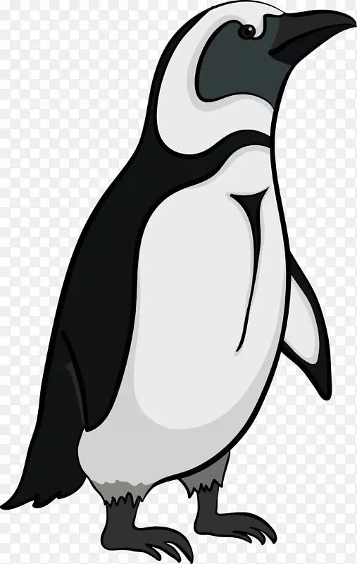 南极帝企鹅-企鹅