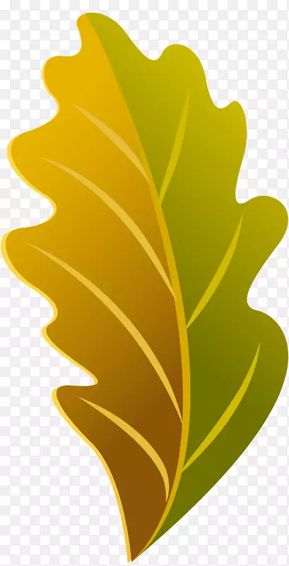 植物叶花字体-香蕉叶
