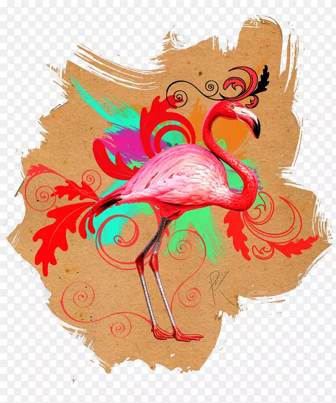 脊椎动物视觉艺术-火烈鸟