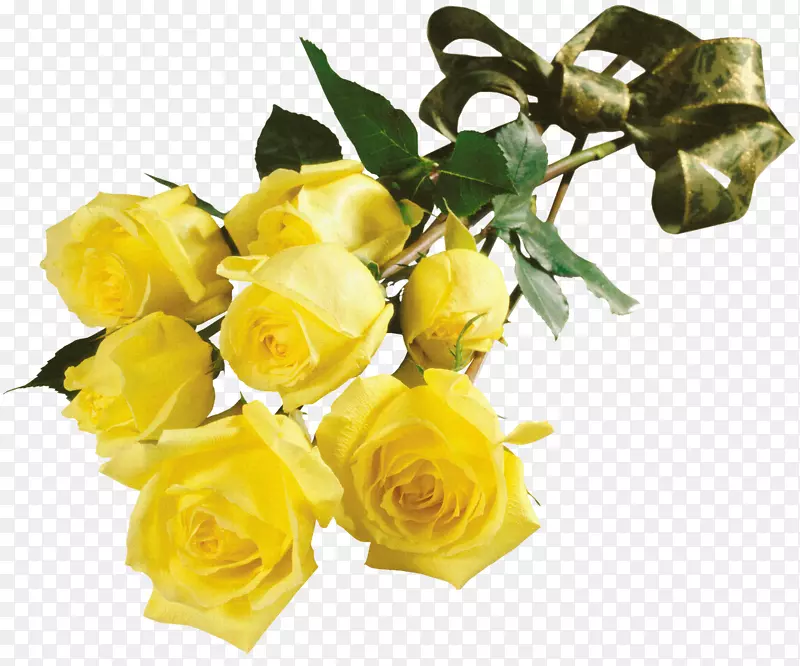 花园玫瑰，花束，黄色室内植物-白色玫瑰