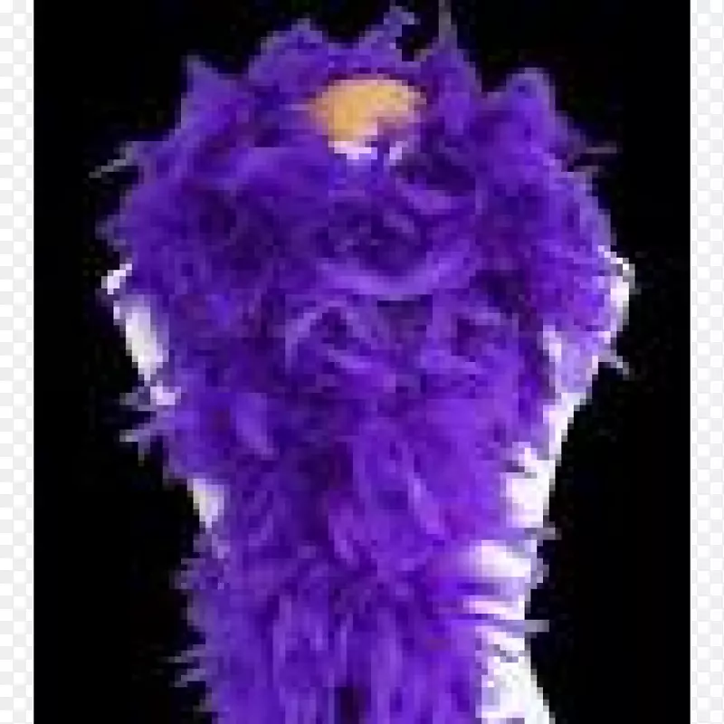 羽毛波亚紫色服装紫罗兰-紫色