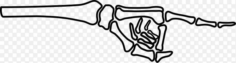 人体骨骼手夹艺术-手指