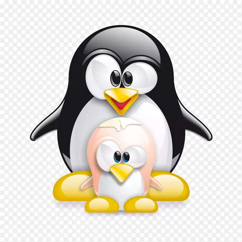 Linux内核计算机软件安装-Vishnu