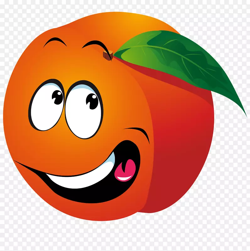 水果笑脸电脑图标剪贴画-葡萄柚
