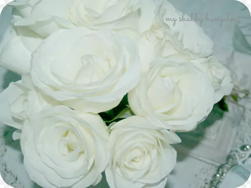 切花花卉设计花园玫瑰花束白色玫瑰