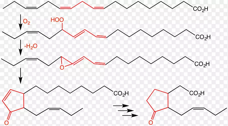 茉莉酸烯氧化物合成途径