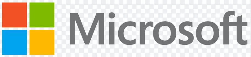 微软徽标电脑软件-黑色星期五