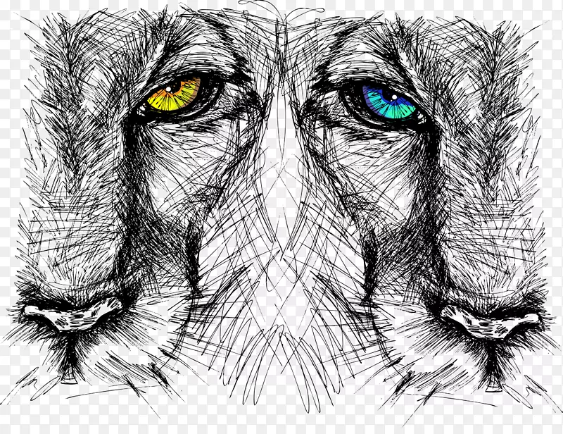 狮子画-狮子头