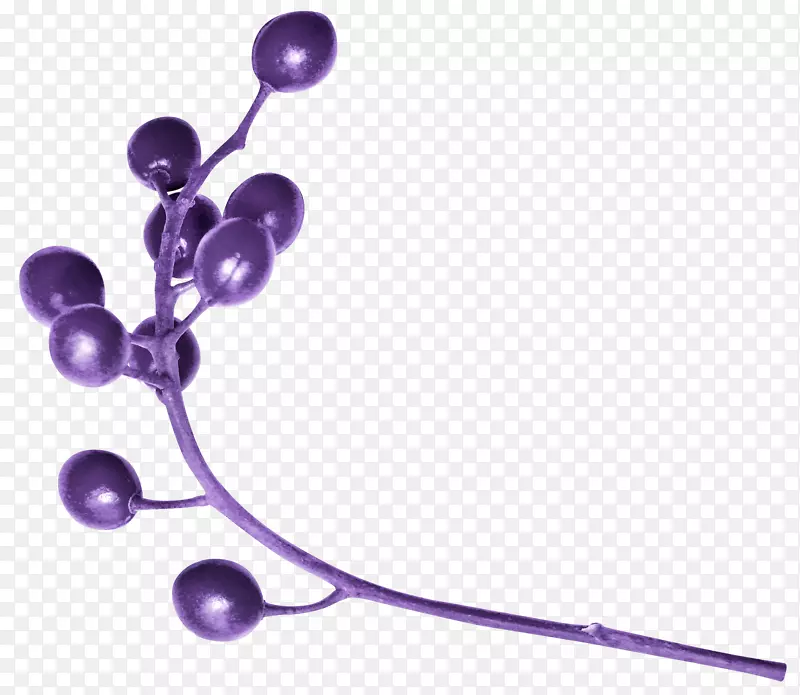 紫丁香薰衣草紫浆果