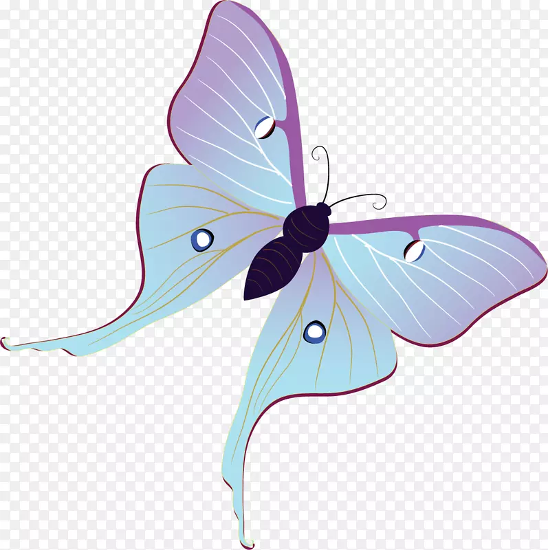 蝴蝶昆虫传粉器节肢动物-蝴蝶