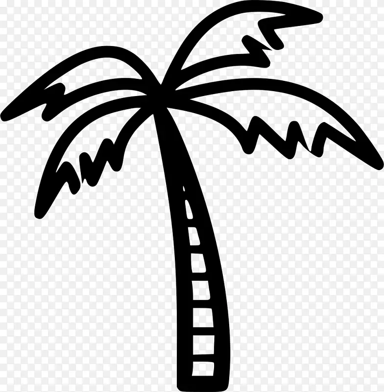 椰子树剪贴画-椰子树