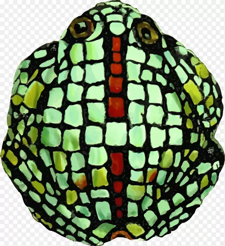 生物插图剪贴画-青蛙