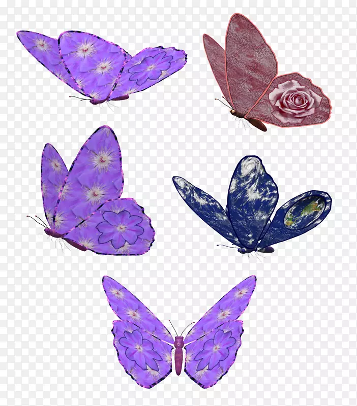 蝴蝶昆虫剪贴画-紫色