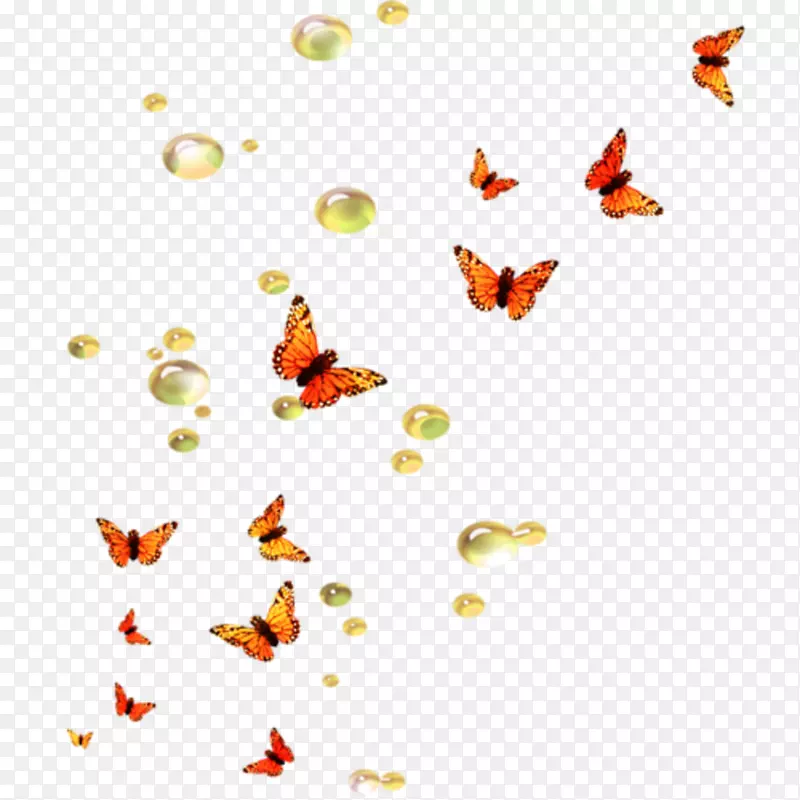 蝴蝶夹艺术-猎豹