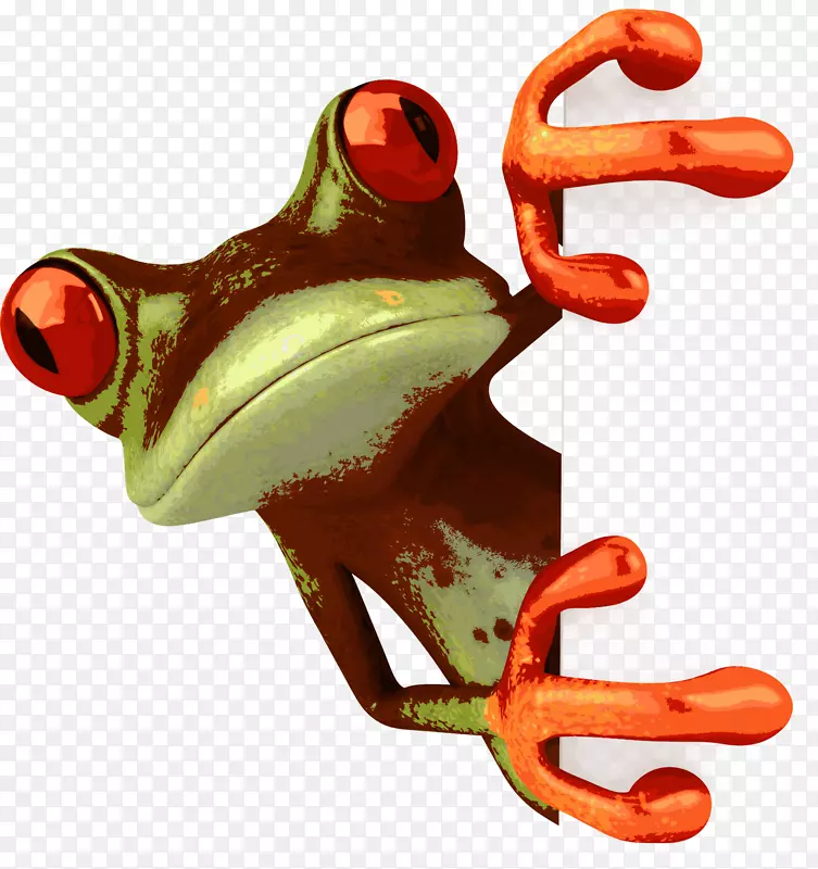 青蛙画卡通剪辑艺术-青蛙