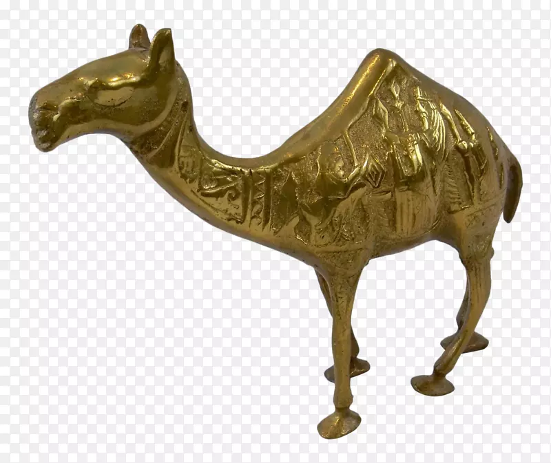 铜像骆驼雕像-骆驼