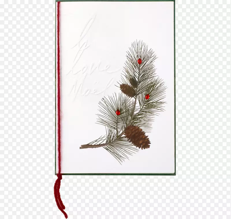 乔木针叶树小枝植物圣诞节装饰品.松树锥