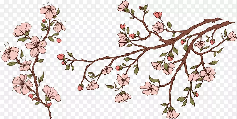 花卉苹果画天鹅座-热带花卉