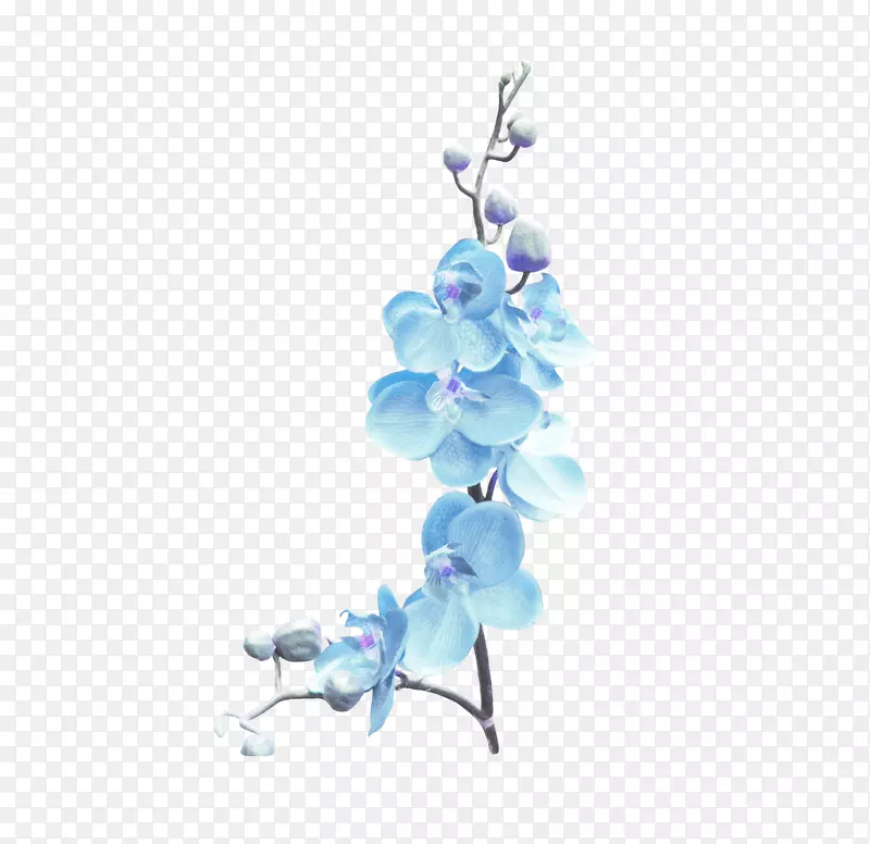 花燕德士搜索-蓝色花卉