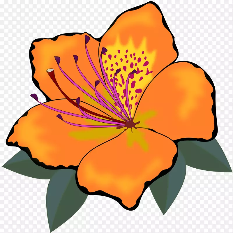 花卉剪贴画-橙色