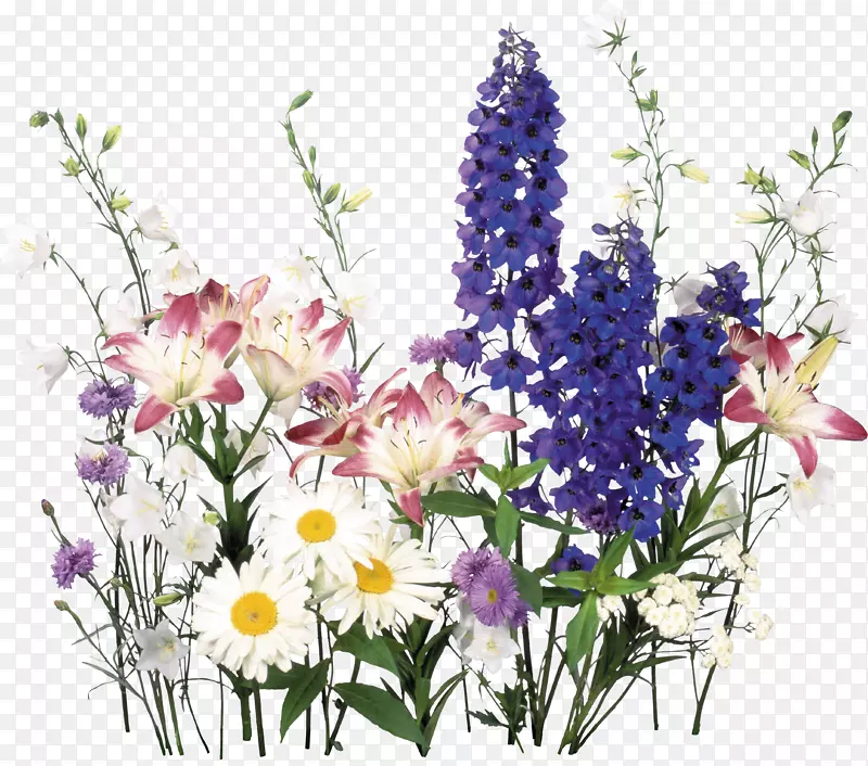 田野的花束-手绘的花朵
