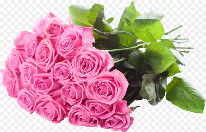 花束玫瑰粉红色花朵-白色玫瑰