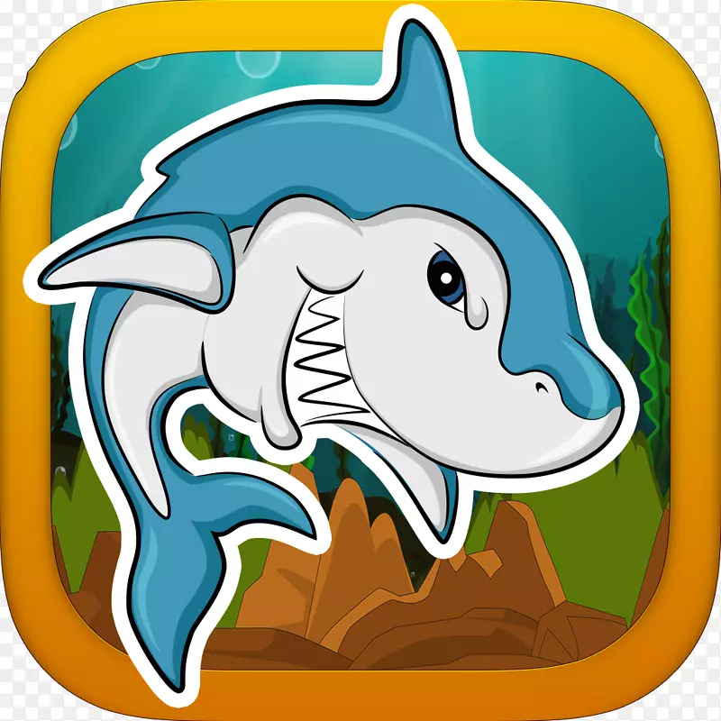 海豚脊椎动物海豚海洋-鲨鱼
