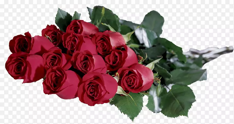 生日假期日间礼物塔蒂亚娜日-白玫瑰