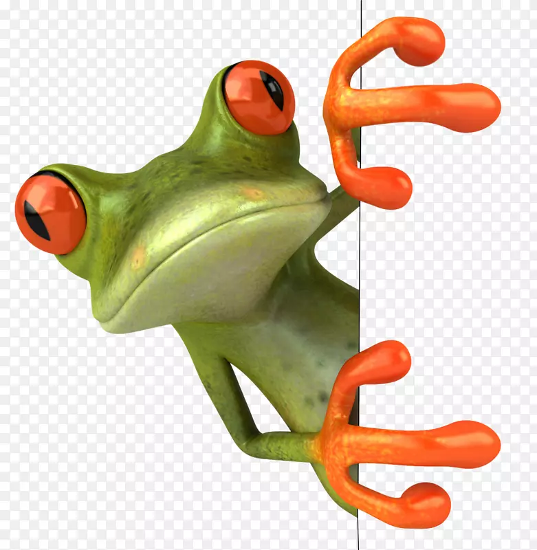 青蛙摄影版税-免费剪贴画-3D