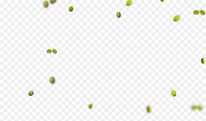 叶植物茎电脑桌面壁纸-橄榄油
