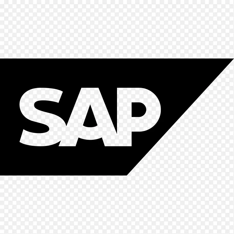 sap erp业务和生产力软件徽标-axe徽标