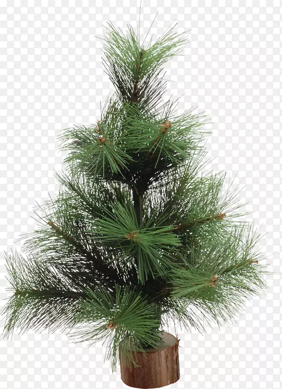 圣诞树，新年树，云杉，松树，圣诞装饰-棕榈树