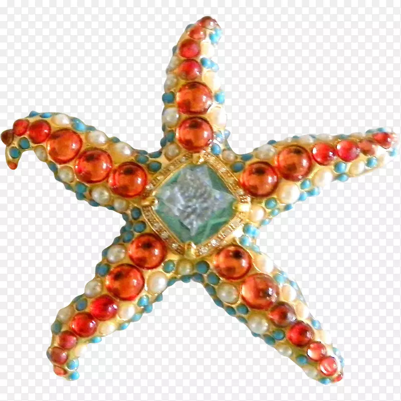 珠宝珠海星无脊椎动物珠宝设计.海星