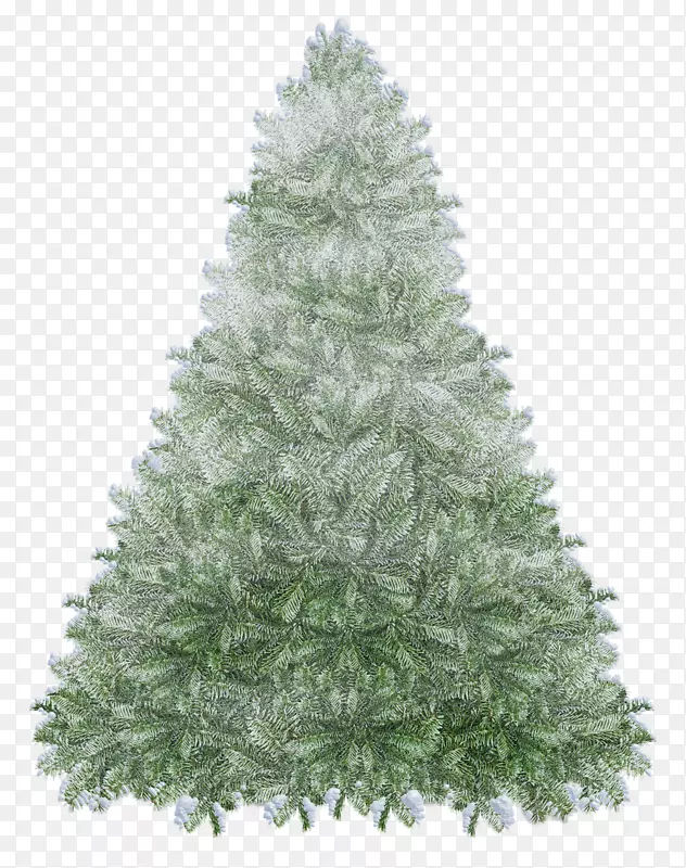 云杉，冷杉，圣诞树，圣诞装饰，常绿-圣诞树