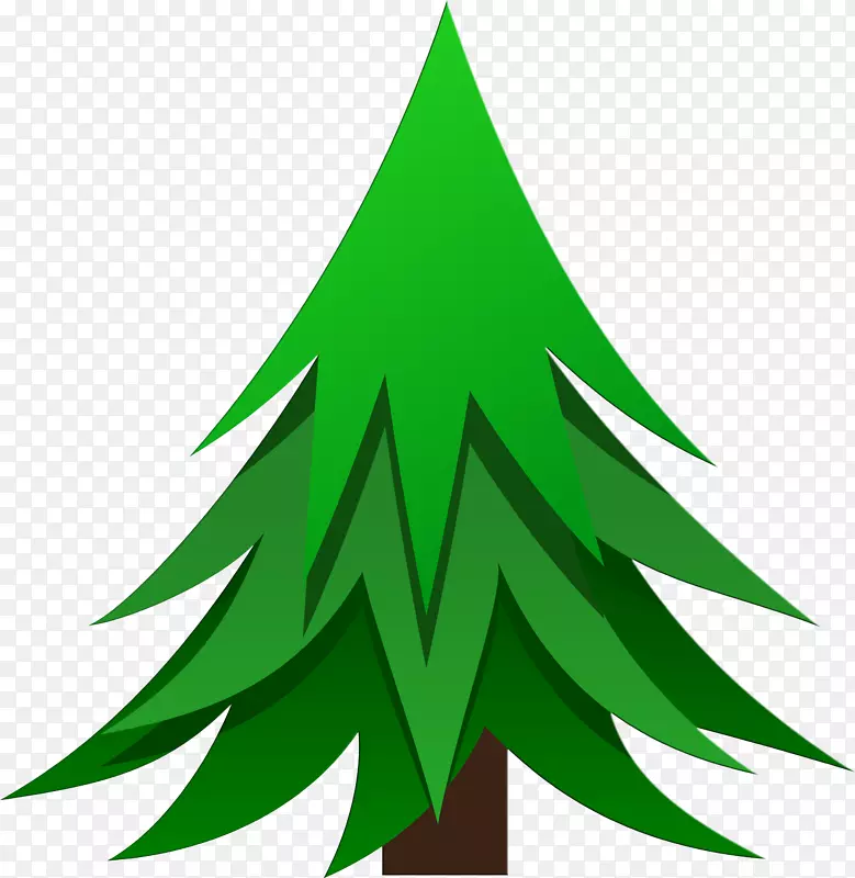 植物针叶树，松树，冷杉，云杉-圣诞树