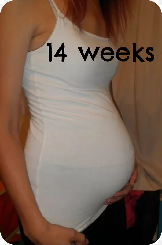 怀孕的第14周-怀孕