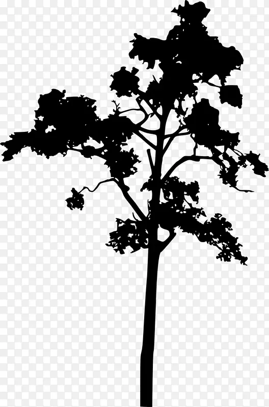 树木木本植物茎轮廓