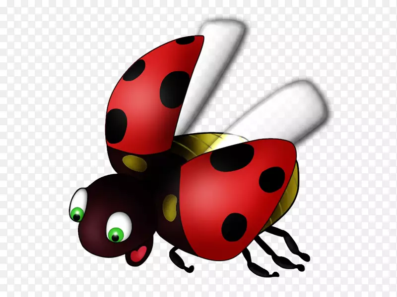 瓢虫博客甲虫日记剪辑艺术-苍蝇