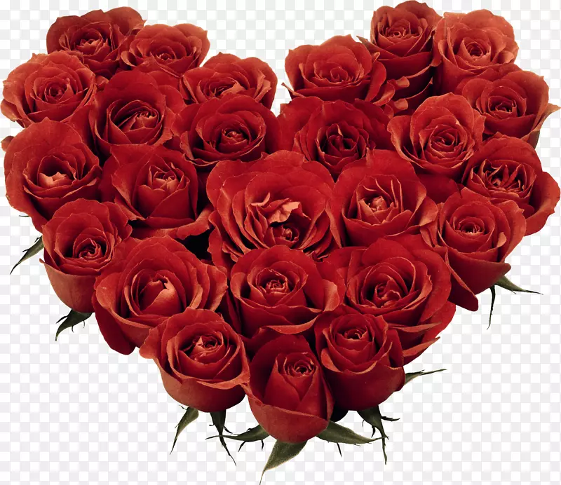 情人节2月14日礼物爱情假期-玫瑰