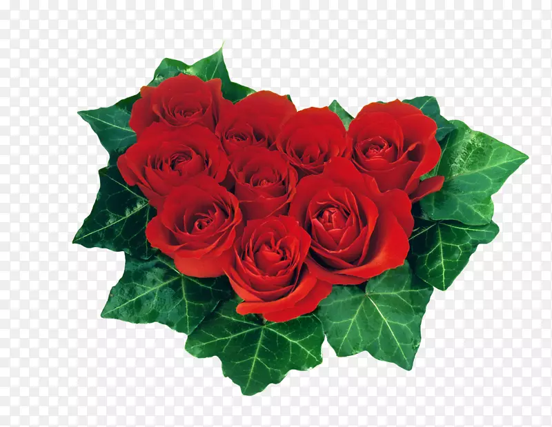 心情人节玫瑰红桌面壁纸-玫瑰