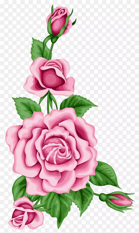 玫瑰插花艺术-花卉