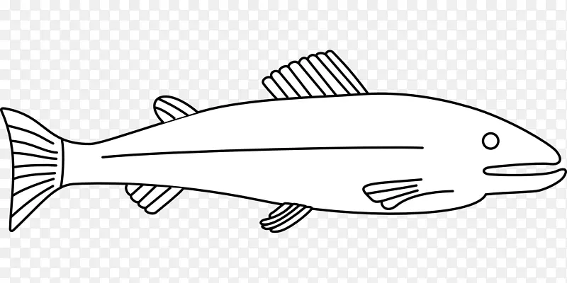 鱼画夹艺术-鱼