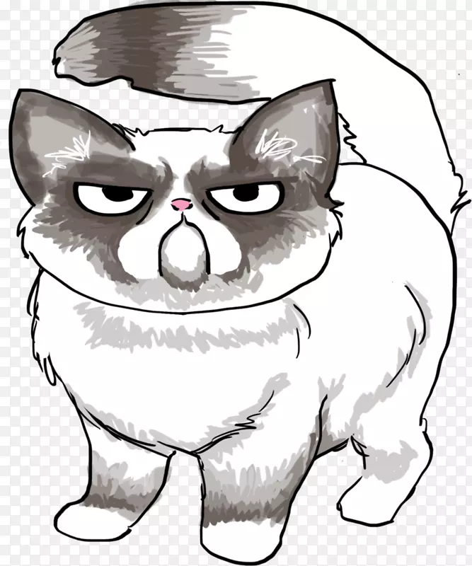 脾气暴躁的猫线艺术画-猫